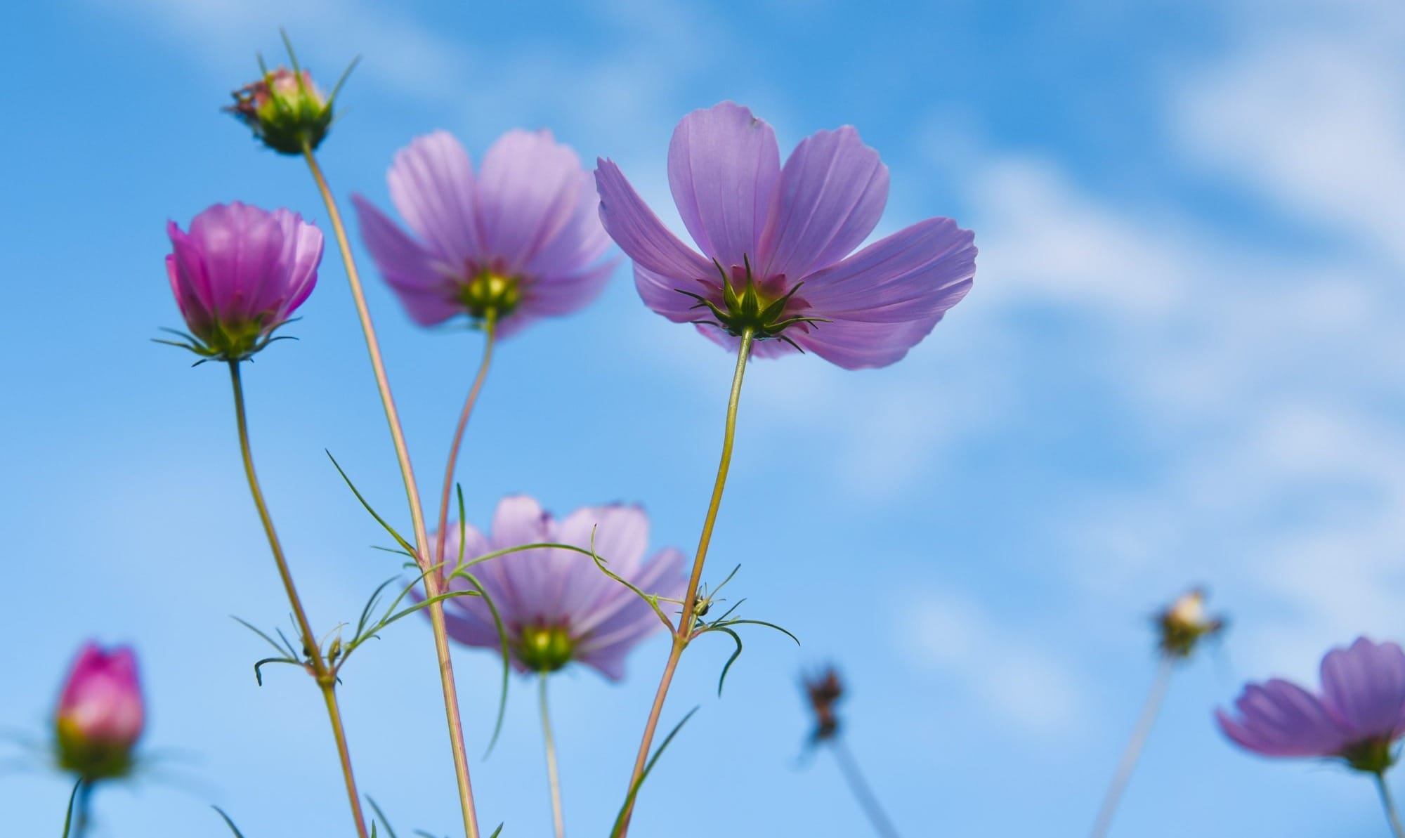 MTM Guide: Homeschool Transition from KS2 - KS3